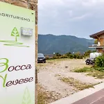 Bocca Nevese Betulla *
