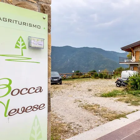 Bocca Nevese Betulla *